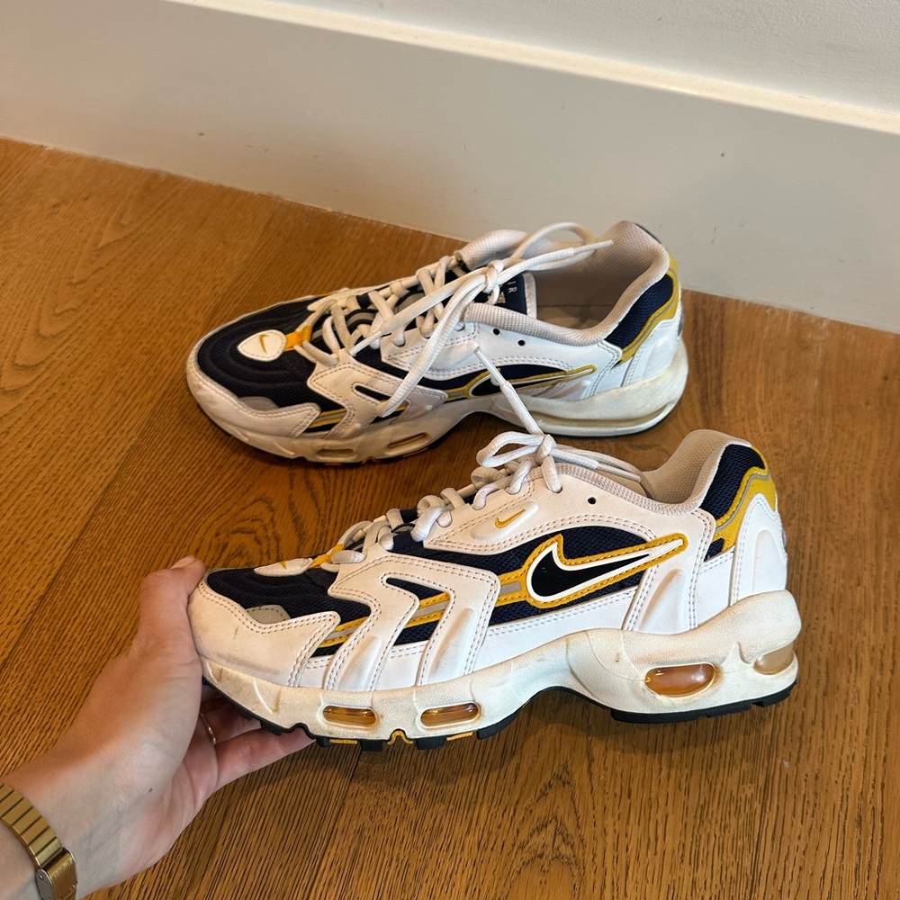 Nike air max sneakers